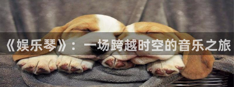 星亿娱乐登陆：《娱乐琴》：一场跨越时空的音乐之旅