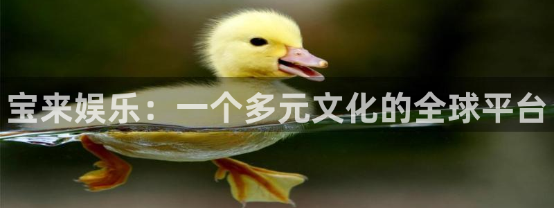 星亿娱乐平台：宝来娱乐：一个多元文化的全球平台