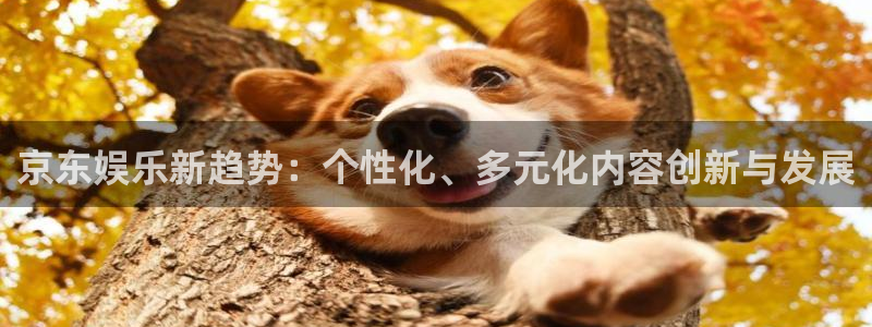 星亿娱乐主管：京东娱乐新趋势：个性化、多元化内容创新与发展