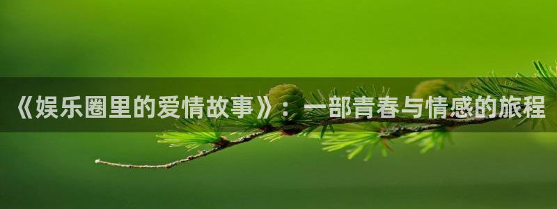 星亿娱乐：《娱乐圈里的爱情故事》：一部青春与情感的旅程