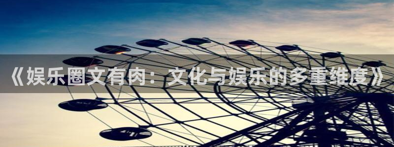 星亿娱乐主管：《娱乐圈文有肉：文化与娱乐的多重维度》