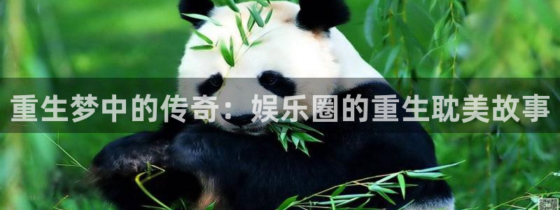 星亿娱乐app官方网站：重生梦中的传奇：娱乐圈的重生耽美故事