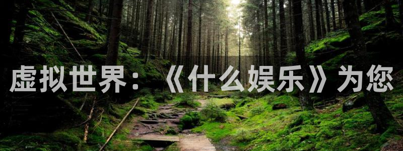 星亿娱乐注册：虚拟世界：《什么娱乐》为您