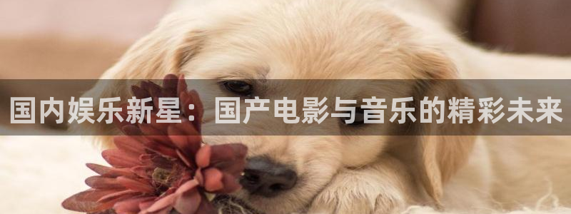 星亿娱乐：国内娱乐新星：国产电影与音乐的精彩未来