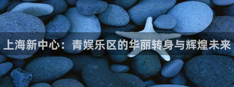 星亿娱乐注册：上海新中心：青娱乐区的华丽转身与辉煌未来